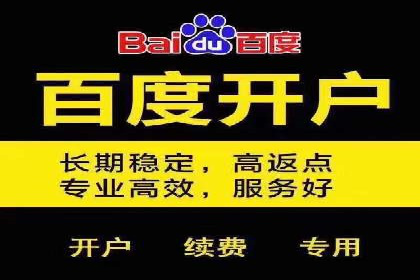 SEM优化策略案例分析